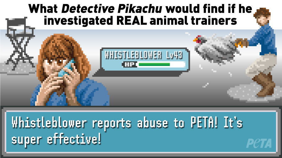 peta parody detective pikachu investigates real animal trainers