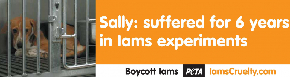 Iams: Sally Suffered for 6 Years PSA