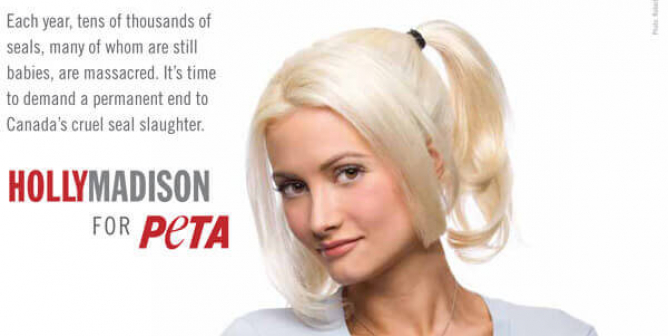 HOLLY MADISON: SAVE THE SEALS PSA