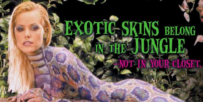 Gena Lee Nolin Exotic Skins PSA