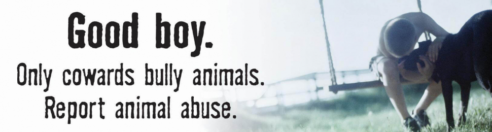 Only Cowards Bully Animals PSA