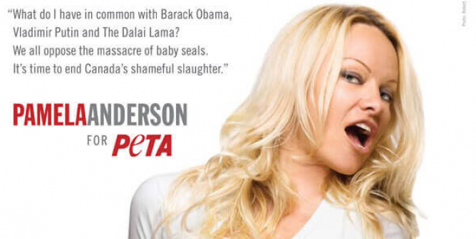 Pamela Anderson Seals PSA