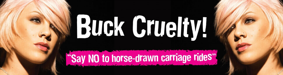 Pink: Buck Cruelty! PSA