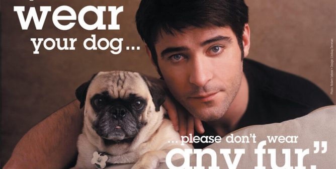 GORAN VISNJIC: IF YOU WOULDN'T WEAR YOUR DOG PSA