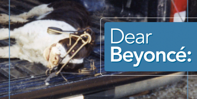 Beyonce Open Letter PSA