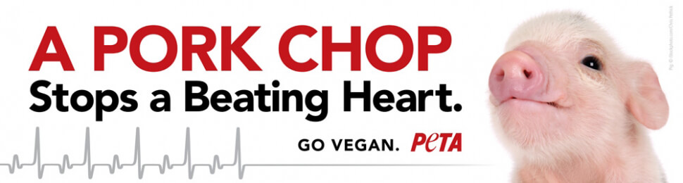 A Pork Chop Stops a Beating Heart PSA