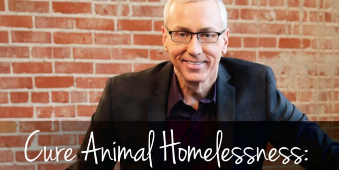 Dr. Drew Pinsky: Cure Animal Homelessness PSA