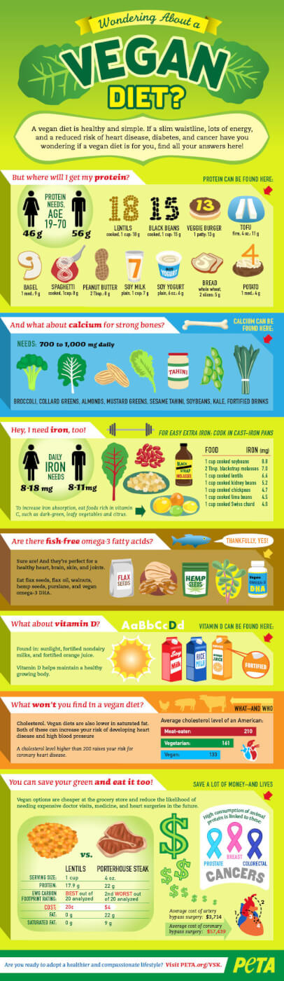 Wondering About A Vegan Diet? (Infographic) | PETA