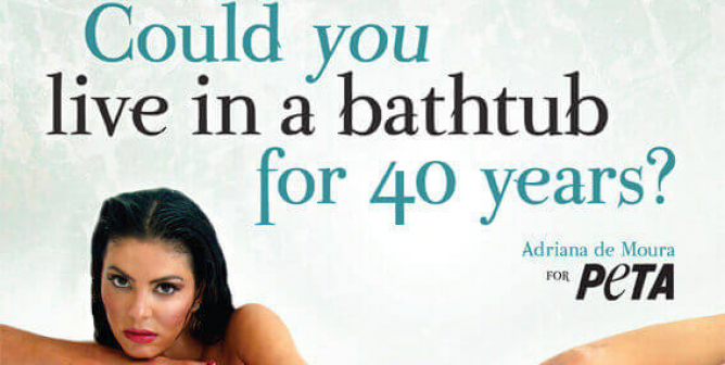 ADRIANA DE MOURA: COULD YOU LIVE IN A BATHTUB FOR 40 YEARS? PSA