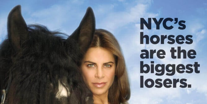 JILLIAN MICHAELS: NYC'S HORSES ARE THE BIGGEST LOSERS PSA