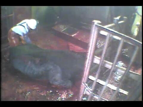 Peta animal slaughter video