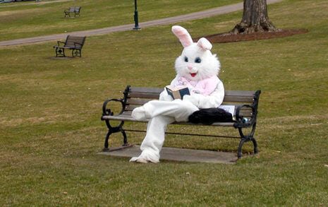 real pictures of the easter bunny
