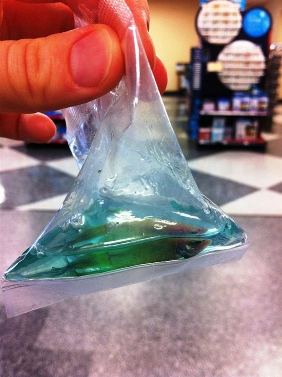 PETA on X: A pet fish is a bad idea. Betta fish are often transported in tiny  plastic bags for days on end.  #FishAmnestyDay   / X