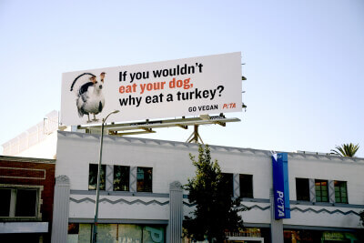 3 Simple Steps for Placing an Animal Rights Billboard | PETA