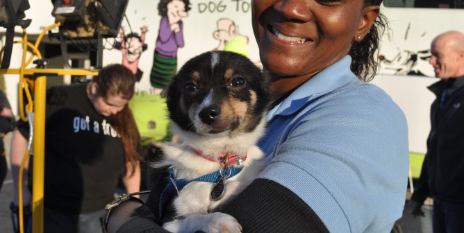 reputable animal shelters spay and neuter animals before adopting them out