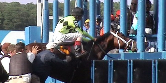 horse racing exposed in peta investigation