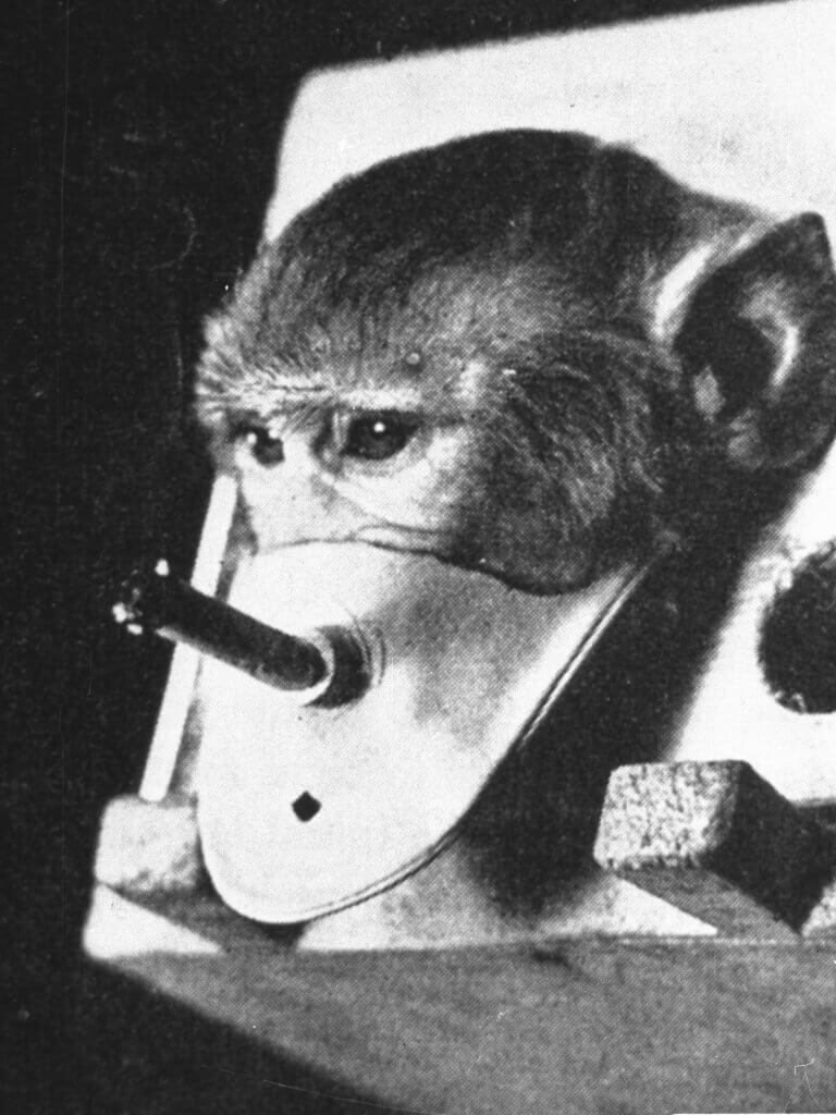 smoking toy monkey