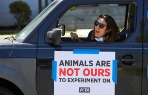 5 Experiments On Animals Occurring NOW | PETA