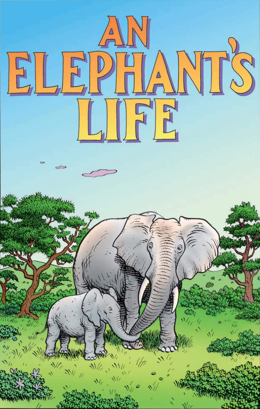 An Elephants Life Peta