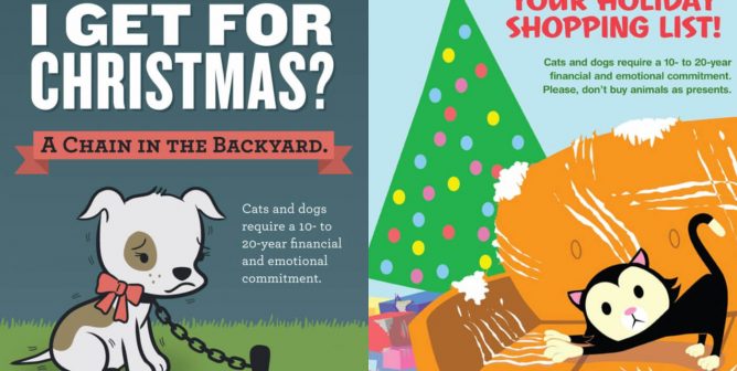 Giving a Puppy as a Gift: the Right Way to Do Christmas Puppies