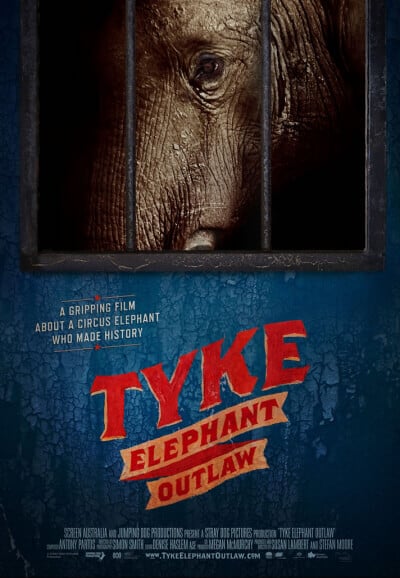 tyke the elephant documentary