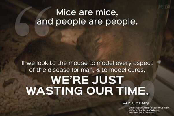animal testing quotes