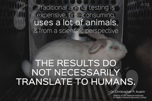 animal testing cruelty facts