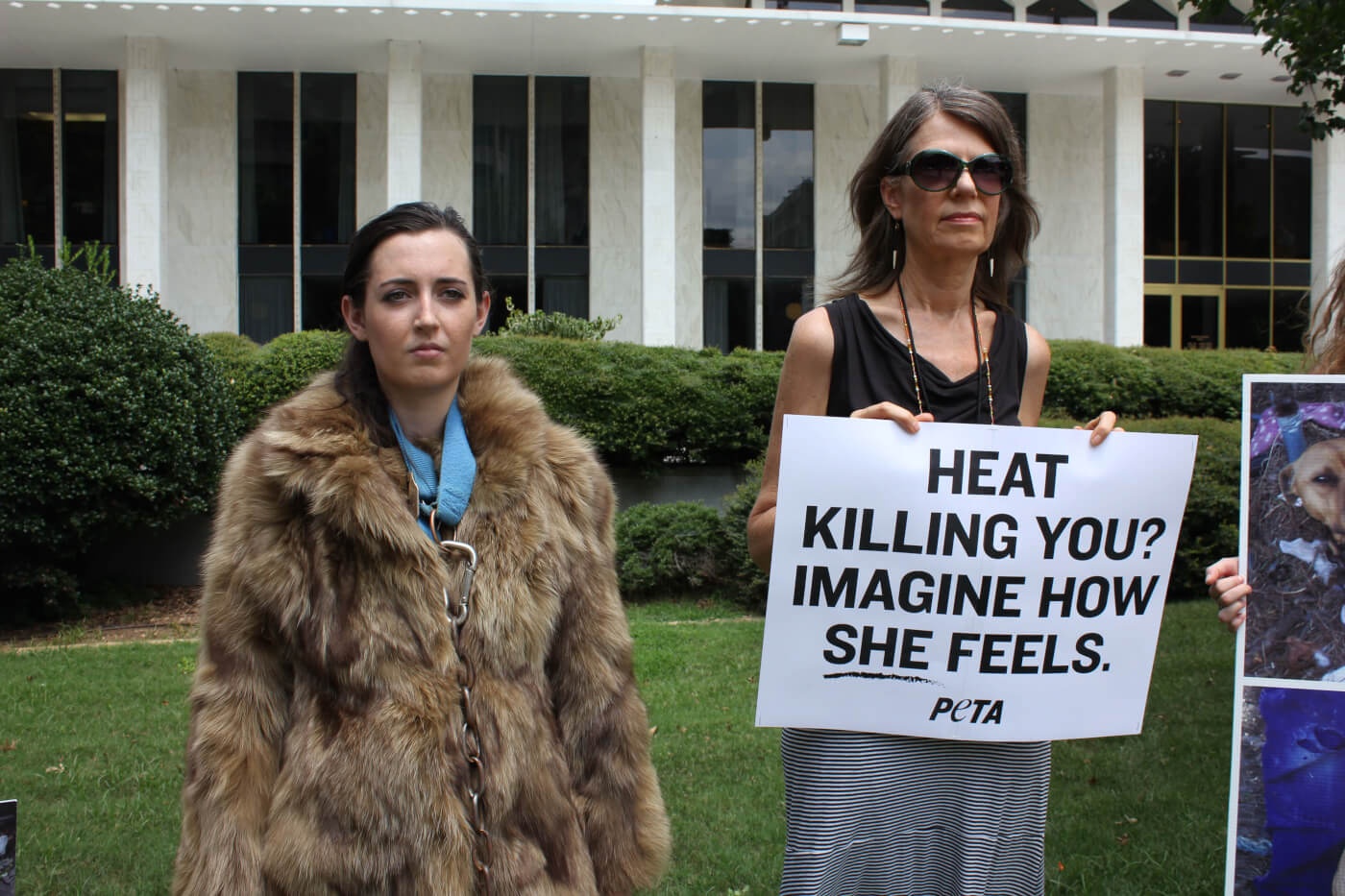 Woman Protests Dog Chaining by Wearing Fur Coat in Sweltering Heat | PETA