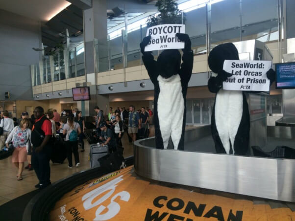 'ORCAS' TAKE OVER BAGGAGE CLAIM TO PROTEST SEAWORLD CRUELTY3
