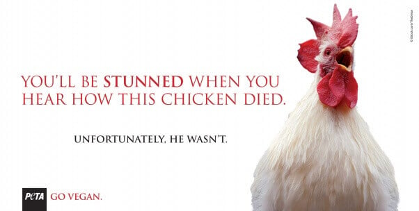 You'll Be Stunned When You Hear How This Chicken Died billboard