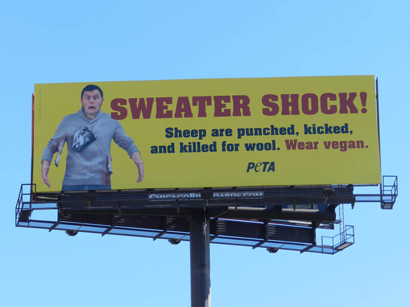 PETA's New Billboards Remind Motorists to Have a WoolFreeWinter PETA