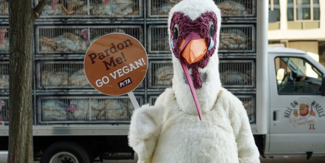 turkey pardon mascot in front of hell on wheels truck