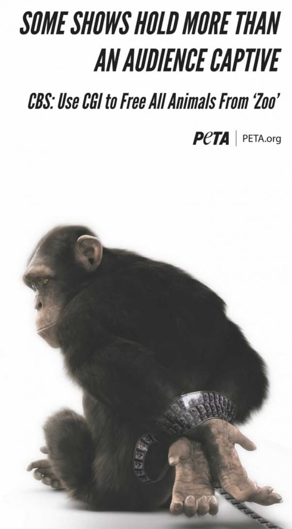 AFTV chimp ad_LATimes_fullpage10x21 5_300croppedMORE