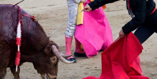 matador stabbing bull in the back of the neck in Pamplona