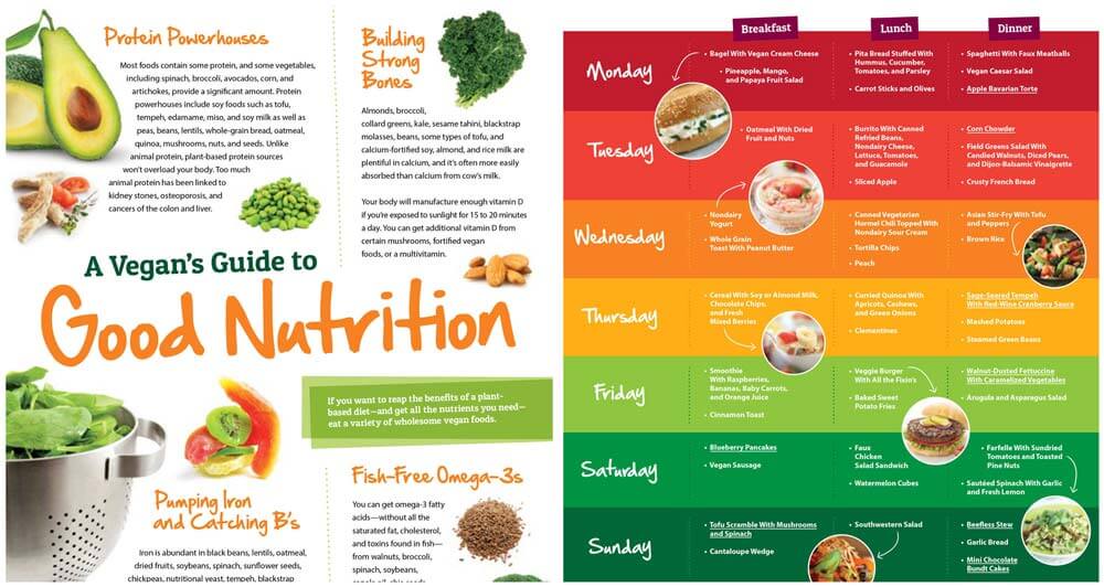 Vegan nutrition tips