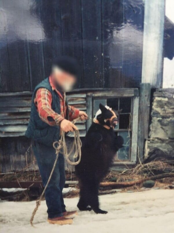 Bear Training in US