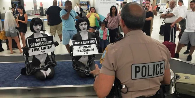 body-painted PETA supporters are arrested in Miami airport during Lolita protest