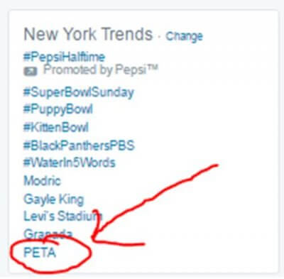 peta social media case study