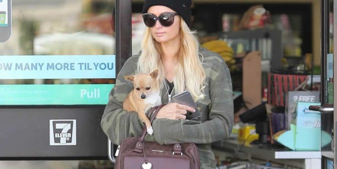 Paris Hilton with puppy