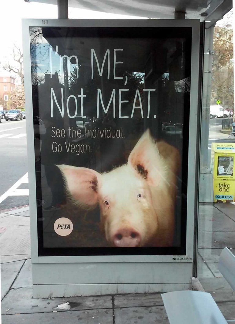 See the Thought-Provoking Holiday Ads That Are Inspiring Shoppers | PETA