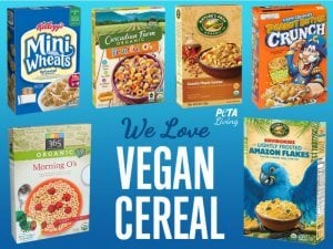 Breakfast Is Much Better With These 14 Vegan Cereal Options