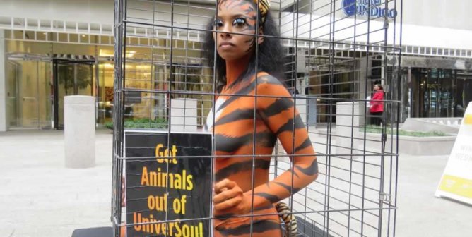 Close-up of PETA supporter bodypainted to look like caged 'tiger'