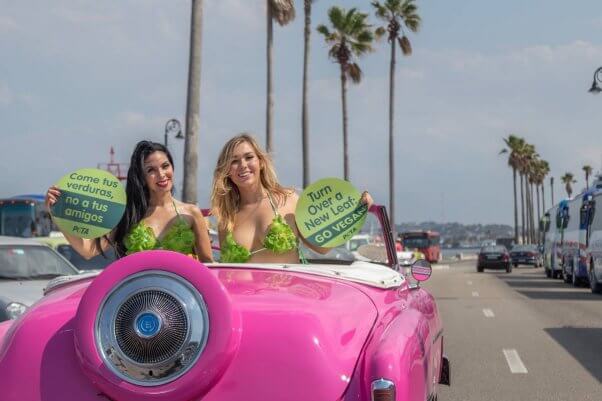 lettuce ladies cuba trip: pink classic car