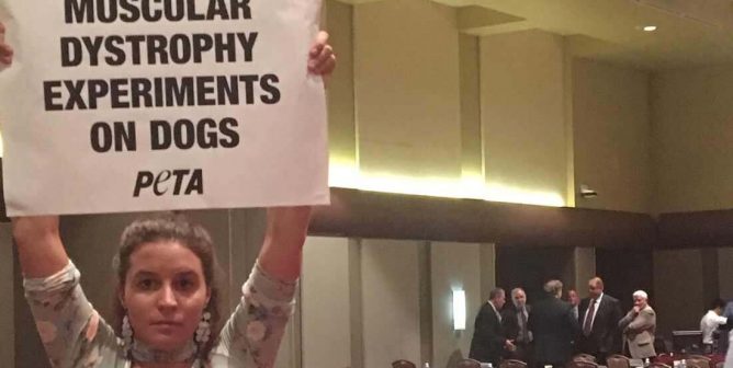 PETA Protester disrupts Texas A&M Board of Regents meeting