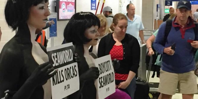 Two women painted to look like orcas holding SeaWorld protest signs among a crowd at San Antonio airport