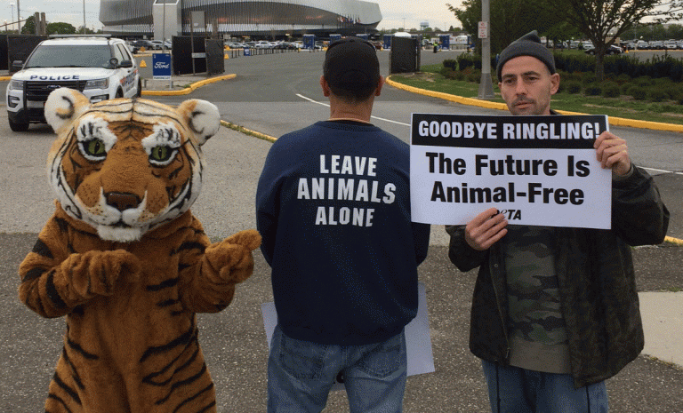 35 Things That Aren't Happening Today Because Of PETA | PETA