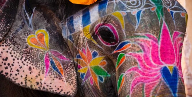 Elephant with colorful drawings on face