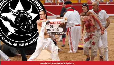 Vegan Strike Group, bullfight, disruption, bullring, bloody