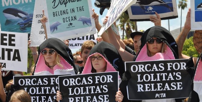 lolita, demo, protest, 47th anniversary of lolitas capture, miami seaquarium