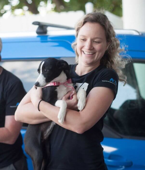 PETA staffer holding black-and-white female dog